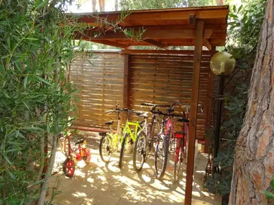 Attività di ciclismo presso la casa vacanze o nelle vicinanze