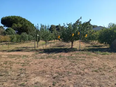 Planimetria di Agriturismo Sannoranna