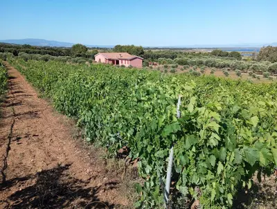 Paesaggio naturale nelle vicinanze dell'agriturismo