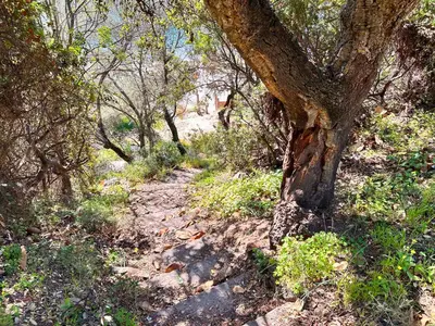 Paesaggio naturale nelle vicinanze della casa vacanze
