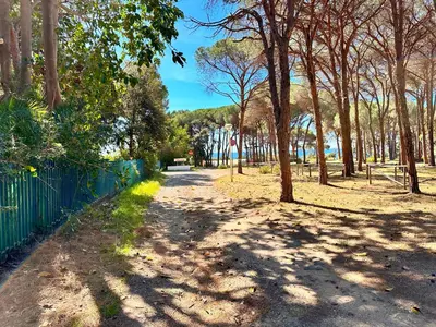 Paesaggio naturale nelle vicinanze della casa vacanze