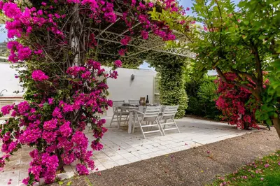 Giardino di Villa Buganvillea near the beach