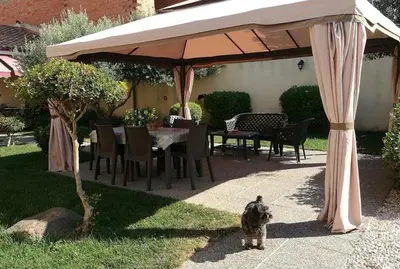 Ospiti di Affitacamere/Domo - Mari e Luci con animali domestici
