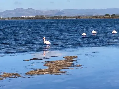 Paesaggio naturale nelle vicinanze della casa vacanze