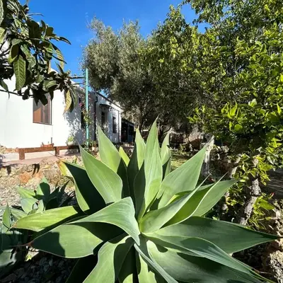 casa Sa Breca