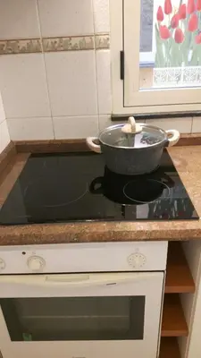 Cucina o angolo cottura di Alloggio privato Giunic