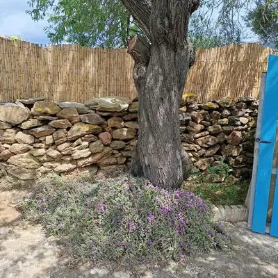 Giardino di La casa del mandorlo