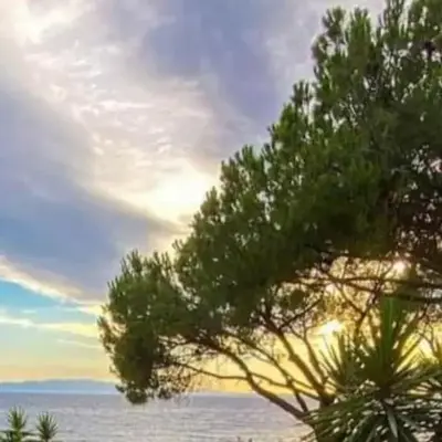 Sun Sea house