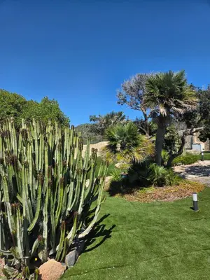 Giardino di Villa Di Fiore - private villa up to 10 guests with pool sauna and gym