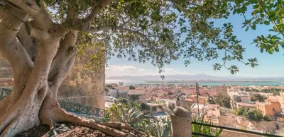 Paesaggio naturale nelle vicinanze dell'appartamento