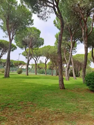 Giardino di Sardegna Calaverde Villetta