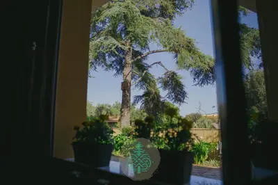 Giardino di IL CEDRO