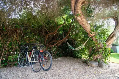 Attività di ciclismo presso la casa vacanze o nelle vicinanze