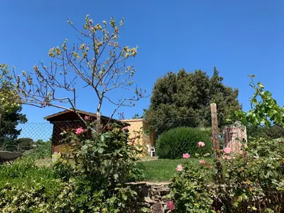 Giardino di B&B Helga's Agricampeggio