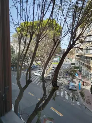 Il quartiere o una zona nella vicinanze dell'appartamento