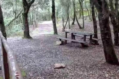 Planimetria di La casetta