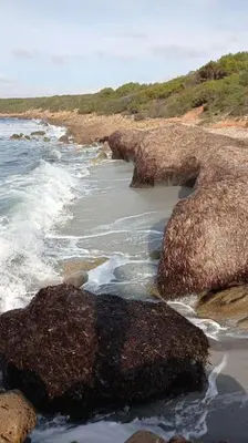 Paesaggio naturale nelle vicinanze della casa vacanze