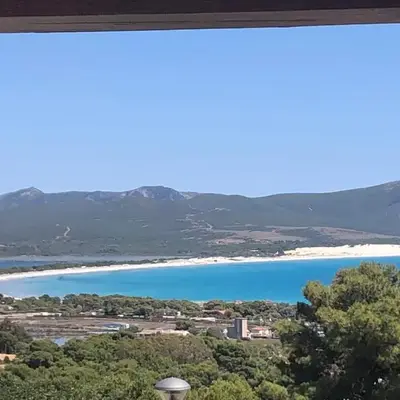I lentischi