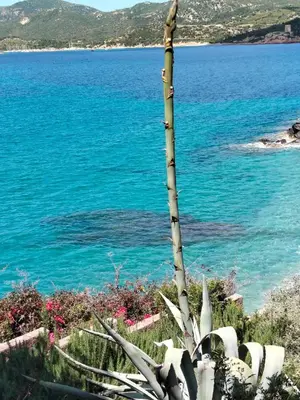 Paesaggio naturale nelle vicinanze dell'appartamento
