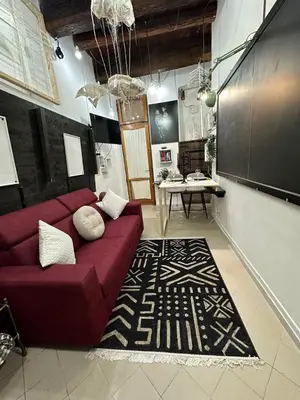 TV o dispositivi per l'intrattenimento presso Art Studio appartamento Castello