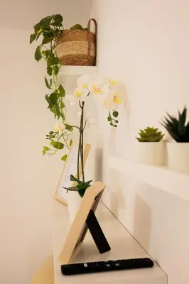 Planimetria di Pothos Apartment, Relax in Sardegna