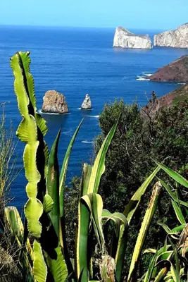Paesaggio naturale nelle vicinanze della casa vacanze