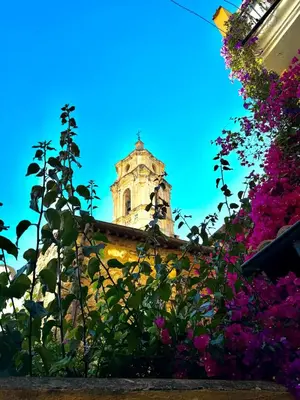 Giardino di Bellevue Vacation