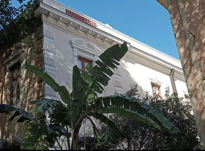Planimetria di Nuovo, tranquilla e in città