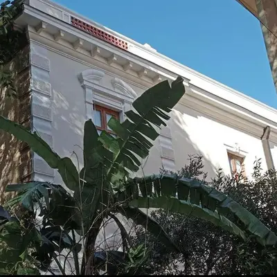 Nuovo