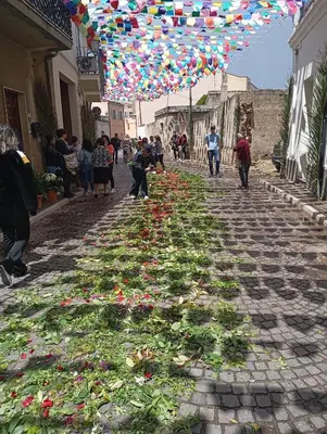 Ospiti di Appartamento Raggio di Sole