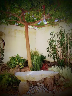 Giardino di La casa del glicine Marrubiu