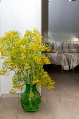 Planimetria di Sa Domu