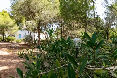 Paesaggio naturale nelle vicinanze della villa