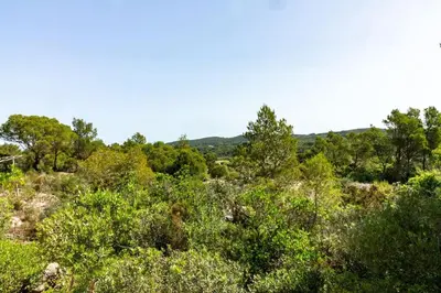 Paesaggio naturale nelle vicinanze della villa