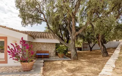 Giardino di Villa Stefanina - Vista mare e piscina privata vicina alla spiaggia di Cala Sinzias