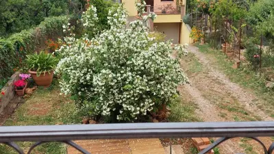 Giardino di Il Filadelfo