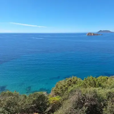 Casa NOAH