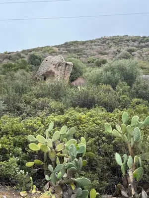 Paesaggio naturale nelle vicinanze della casa vacanze