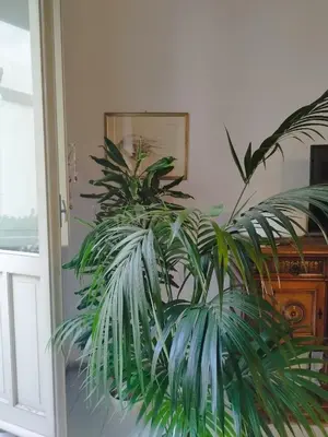 TV o dispositivi per l'intrattenimento presso Casa Sanna Cagliari