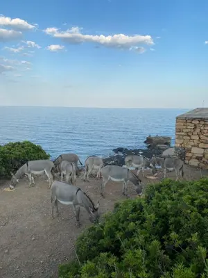 Paesaggio naturale nelle vicinanze della casa vacanze