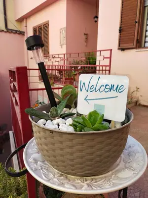 Planimetria di Sa Paxi Arbus