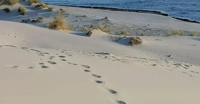 Paesaggio naturale nelle vicinanze della casa vacanze