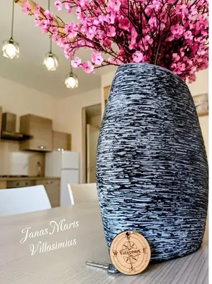 Planimetria di Janas Maris