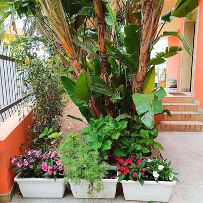 Giardino di Casa vacanze in villa