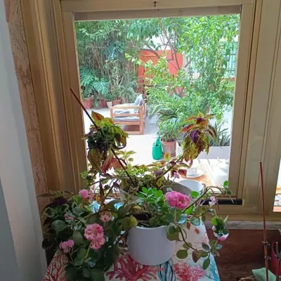 Giardino di Casa vacanze in villa