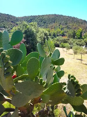 Paesaggio naturale nelle vicinanze dell'affittacamere