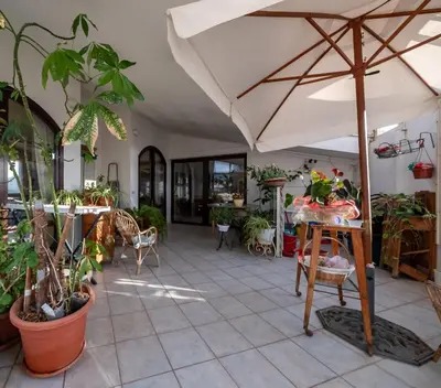 Ristorante o altro punto ristoro di Dolfi Grand Loft