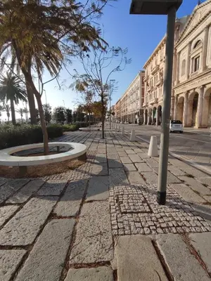 Il quartiere o una zona nella vicinanze dell'appartamento