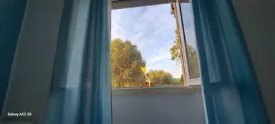 Planimetria di Petali