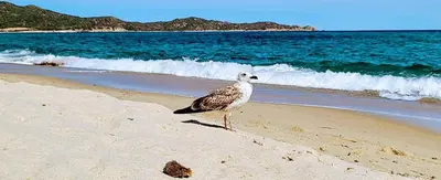Paesaggio naturale nelle vicinanze dell'appartamento